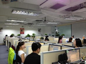 深圳神州商務信息咨詢公司工作環境探析 專業咨詢平臺的職場氛圍與機遇